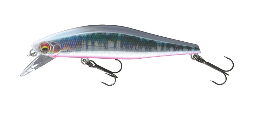 promopesca2640608