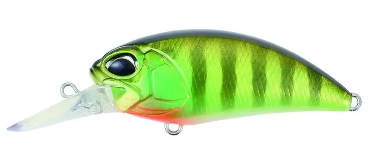 promopesca2679165
