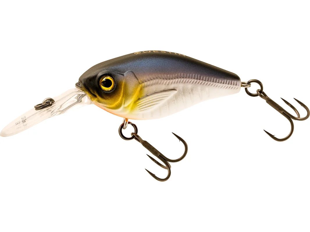 promopesca2680616