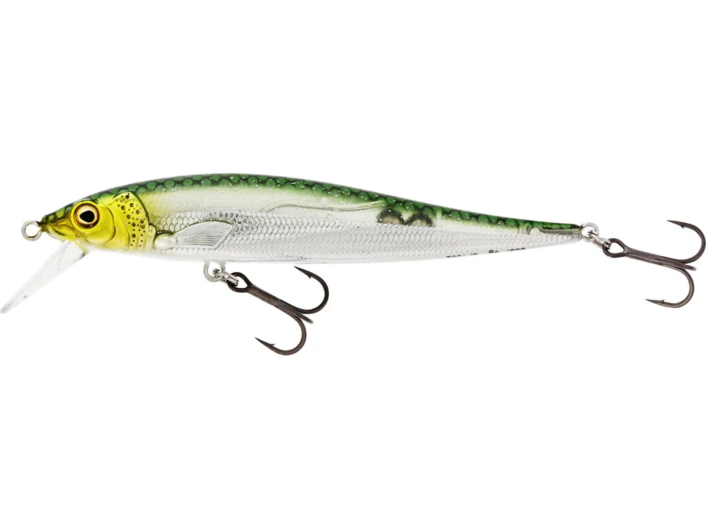 promopesca2812078