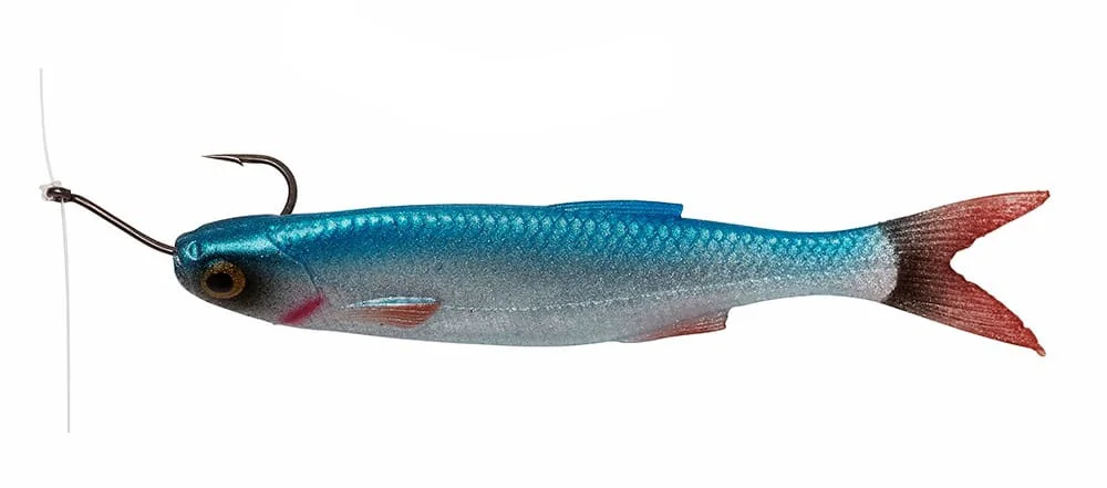 promopesca2816499