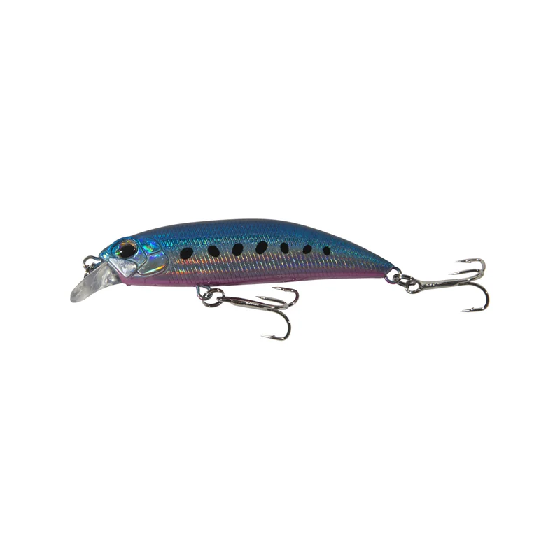 promopesca2824055