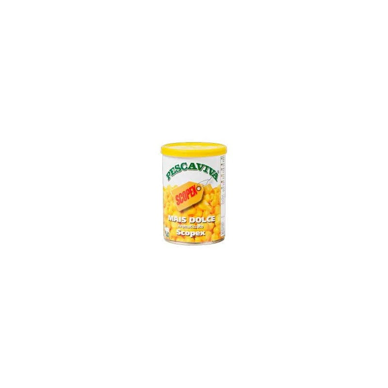 vitocarp2603281